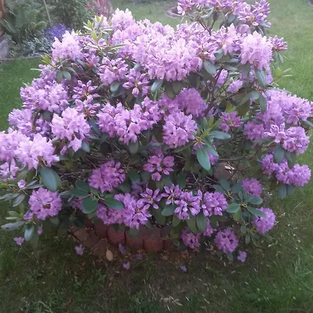 Kwatera Prywatna Gdynia Oksywie