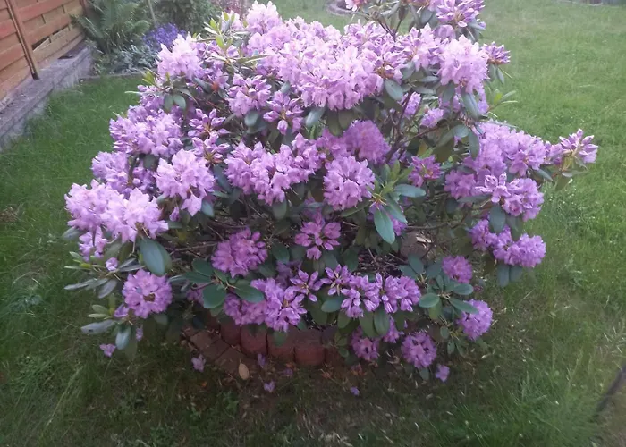 Kwatera Prywatna Oksywie