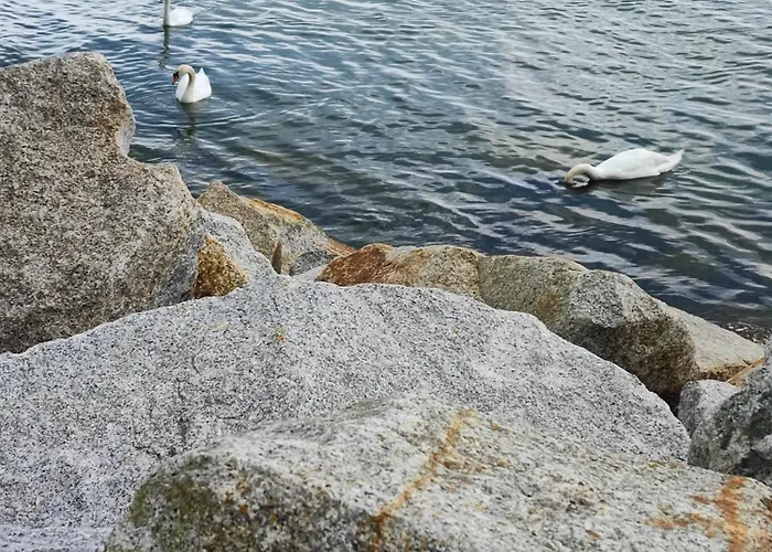 Kwatera Prywatna Oksywie منزل للإقامة